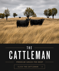 The Cattleman