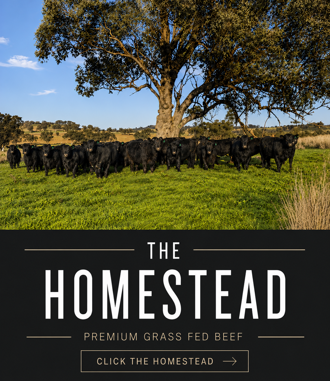 The Homestead